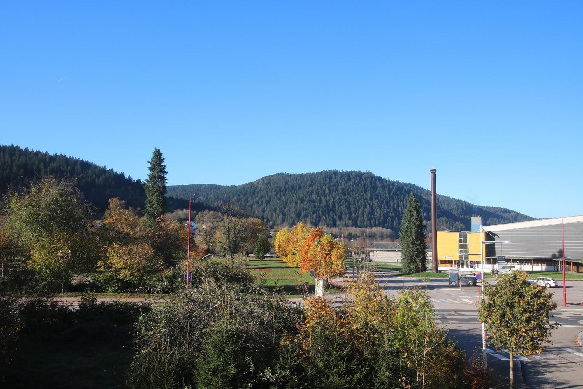 Hotel Les Loges Du Parc Gérardmer Pokoj fotografie